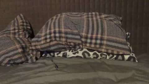 kiki3526 online show from 11-23-25, 07:35