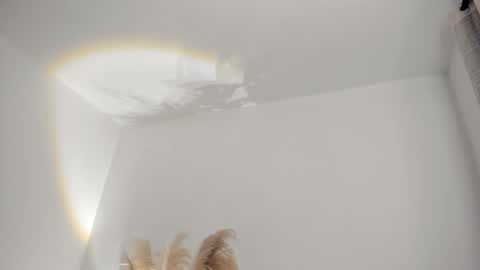 Kim Murphy online show from 02-19-26, 11:28