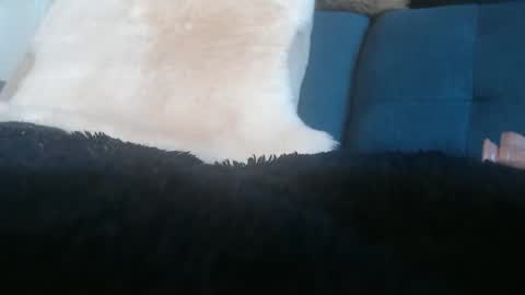 Snapshot of kimberlyfaysantana chatting on 05-11-26, 04:04 Kimber online show from 05-11-26, 04:04