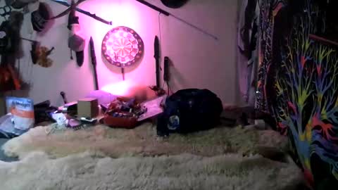 Jerry online show from 03-07-26, 01:24