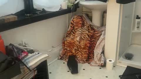 kinkysexpervert online show from 04-13-26, 04:34