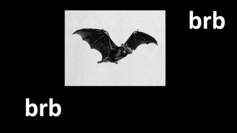 meow online show from 06-29-26, 12:38