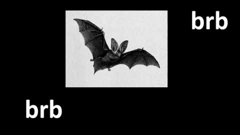 meow online show from 07-23-26, 12:36