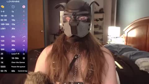 Snapshot of kinkywolf87 chatting on 12-02-24, 05:04 kinkywolf87 online show from 12-02-24, 05:04
