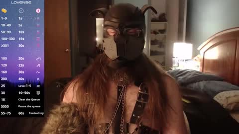 Snapshot of kinkywolf87 chatting on 12-03-24, 07:21 kinkywolf87 online show from 12-03-24, 07:21
