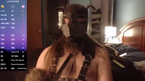 Snapshot of kinkywolf87 chatting on 12-20-24, 07:12 kinkywolf87 online show from 12-20-24, 07:12