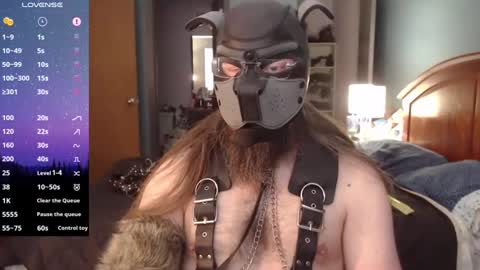 Snapshot of kinkywolf87 chatting on 12-21-24, 06:23 kinkywolf87 online show from 12-21-24, 06:23