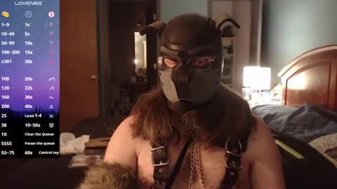 Snapshot of kinkywolf87 chatting on 01-15-25, 01:02 kinkywolf87 online show from 01-15-25, 01:02