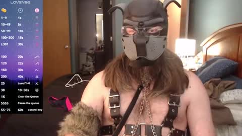 Snapshot of kinkywolf87 chatting on 01-27-25, 08:49 kinkywolf87 online show from 01-27-25, 08:49