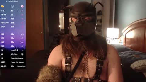 Snapshot of kinkywolf87 chatting on 02-01-25, 01:44 kinkywolf87 online show from 02-01-25, 01:44
