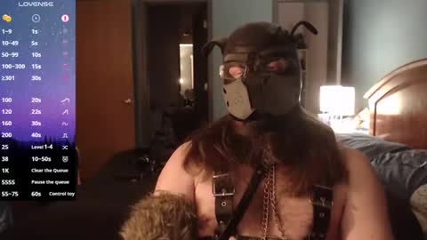 Snapshot of kinkywolf87 chatting on 02-02-25, 08:24 kinkywolf87 online show from 02-02-25, 08:24
