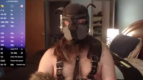 Snapshot of kinkywolf87 chatting on 02-02-25, 09:56 kinkywolf87 online show from 02-02-25, 09:56