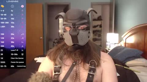 Snapshot of kinkywolf87 chatting on 02-03-25, 06:39 kinkywolf87 online show from 02-03-25, 06:39