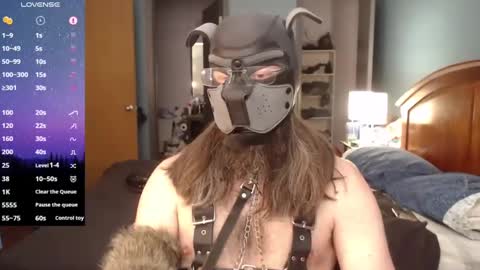 Snapshot of kinkywolf87 chatting on 02-23-25, 07:38 kinkywolf87 online show from 02-23-25, 07:38