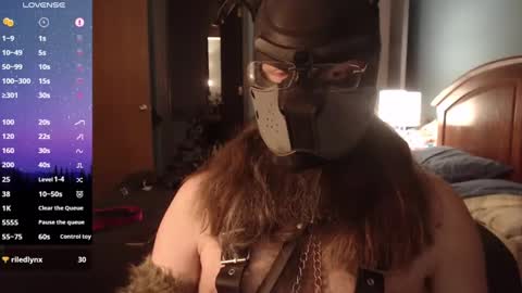 Snapshot of kinkywolf87 chatting on 03-06-25, 08:41 kinkywolf87 online show from 03-06-25, 08:41