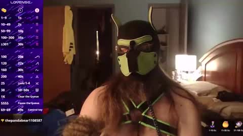 Snapshot of kinkywolf87 chatting on 10-19-25, 05:30 kinkywolf87 online show from 10-19-25, 05:30