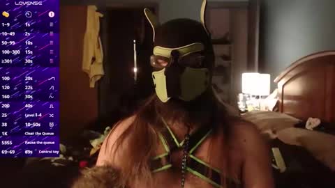 kinkywolf87 online show from 12-02-25, 05:02