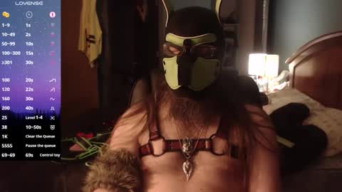 kinkywolf87 online show from 04-09-26, 07:03