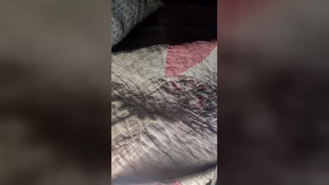 St1r4life online show from 03-19-26, 10:52