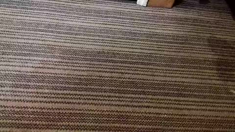 kis4kum online show from 04-21-26, 10:21