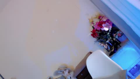 Snapshot of kissmebetter chatting on 06-29-26, 12:06 Saint Onicka online show from 06-29-26, 12:06