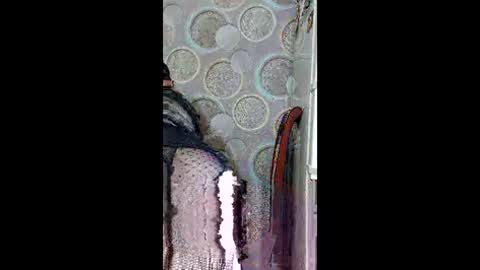 Snapshot of kissmycurvesxo chatting on 05-18-26, 03:13 Goddess online show from 05-18-26, 03:13