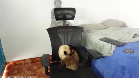 Snapshot of kite__ chatting on 12-23-24, 03:44 kite__ online show from 12-23-24, 03:44