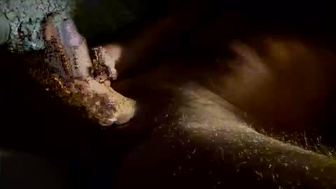 Kitkat loco online show from 11-04-25, 07:40