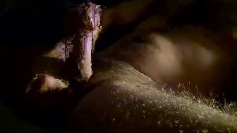 Kitkat loco online show from 11-28-25, 01:14