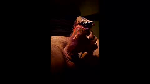 Kitkat loco online show from 01-11-26, 08:36