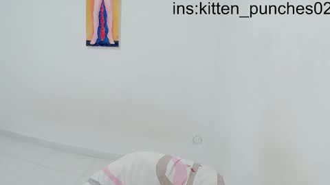 kitten_punches02 online show from 01-11-26, 11:32