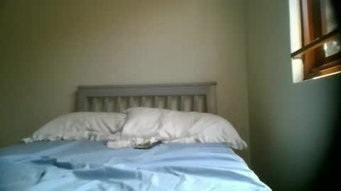 kittygulf online show from 02-13-26, 08:32