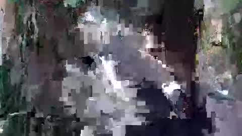 kittykemi online show from 09-24-25, 02:48