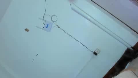 Grace online show from 02-25-25, 02:47