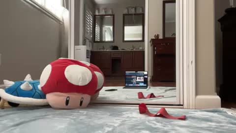 kittypurr79 online show from 01-11-25, 09:04