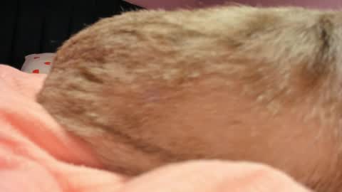 Yuna online show from 04-19-26, 06:10