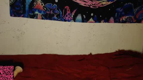 konekokawai online show from 02-13-25, 11:15