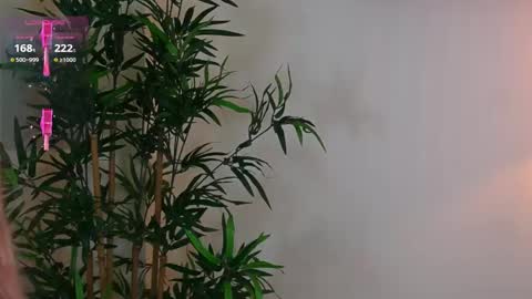 Snapshot of kore__1 chatting on 06-07-26, 07:50 Kore online show from 06-07-26, 07:50