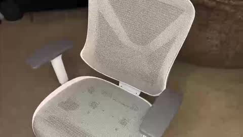 Snapshot of koryoncam chatting on 12-16-25, 09:58 your hairy neighbor online show from 12-16-25, 09:58