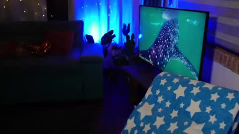kozzy_ online show from 06-18-26, 11:09