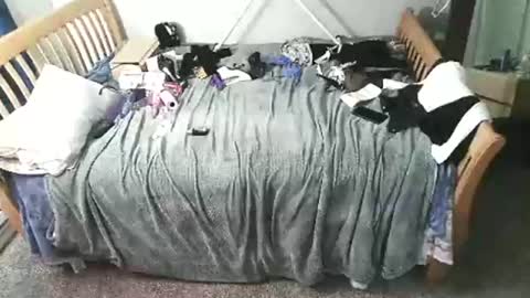 kulinky6969 online show from 12-15-25, 11:58