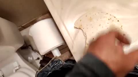 Snapshot of kumnnkevsuks4 chatting on 01-16-25, 08:14 kumnnkevsuks4 online show from 01-16-25, 08:14