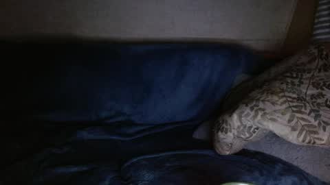 Kyle chat online show from 04-04-26, 06:33