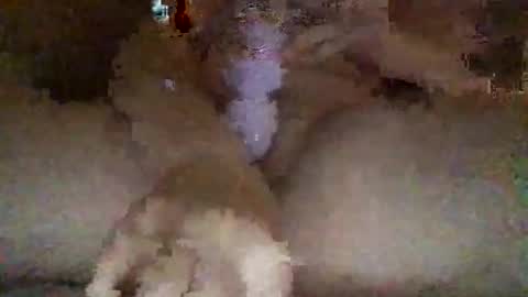 kylie online show from 02-27-26, 03:06