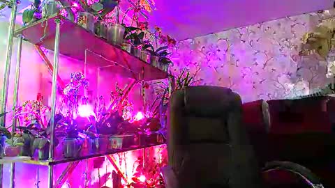 Lady Gloria online show from 02-22-25, 08:40