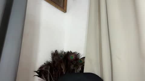 ladylollipop_marls online show from 03-10-26, 10:31