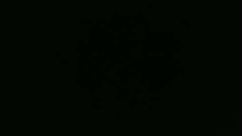 ANNIE online show from 12-01-25, 05:45