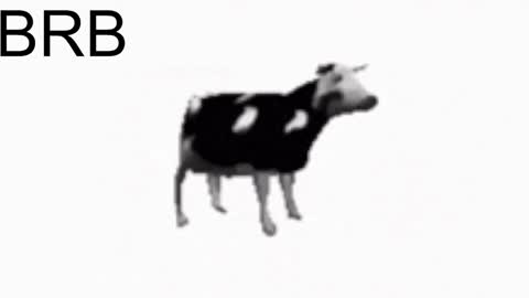 just call me Lana  and her security online show from 01-25-25, 05:19