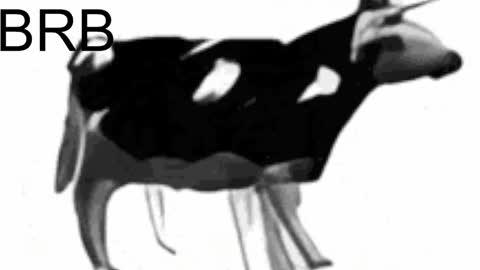 just call me Lana  and her security online show from 02-06-25, 08:07