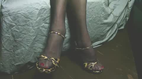 lana_legs53 online show from 04-19-26, 05:51